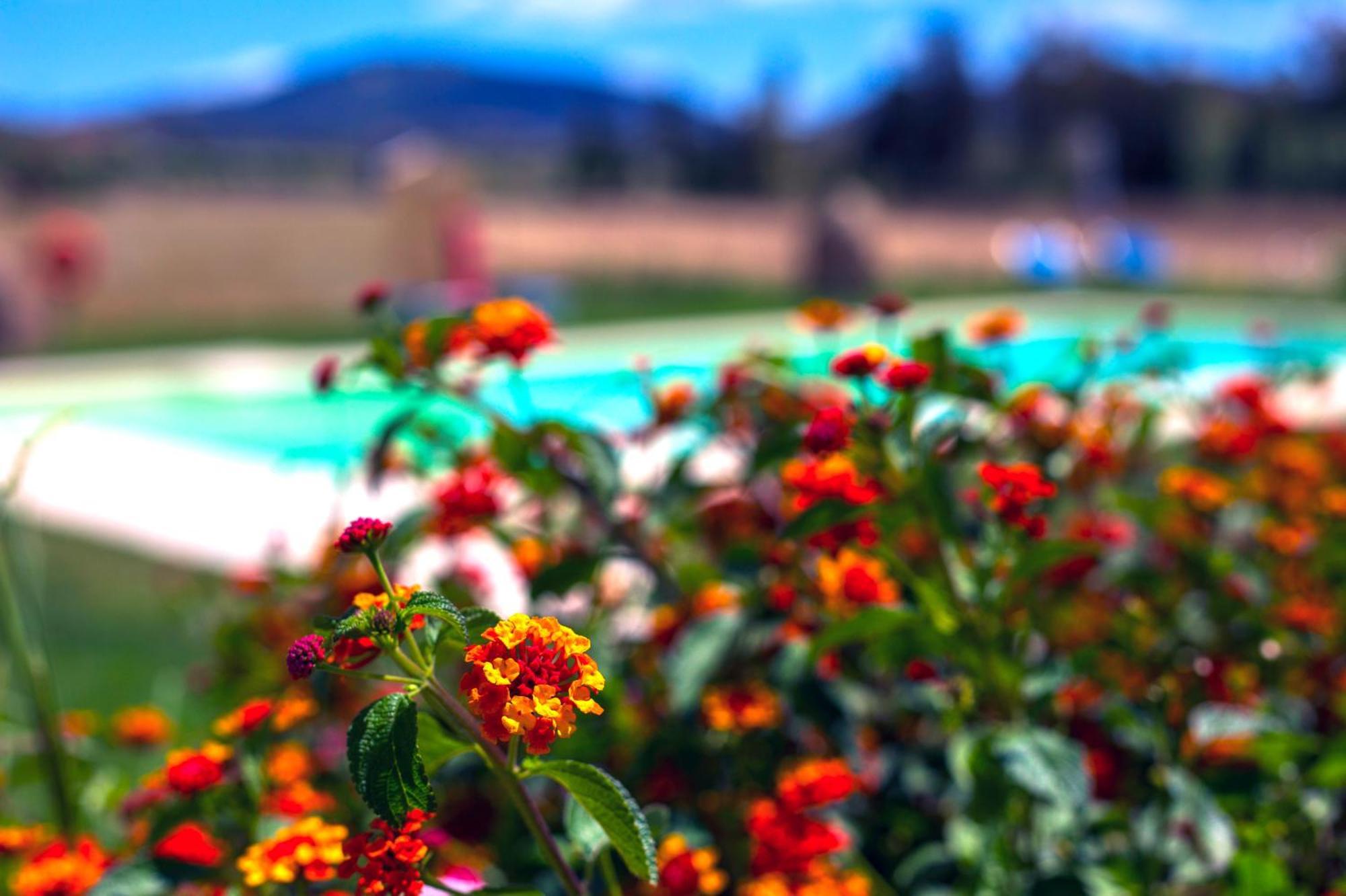 Agriturismo Piperedda Irgoli Εξωτερικό φωτογραφία
