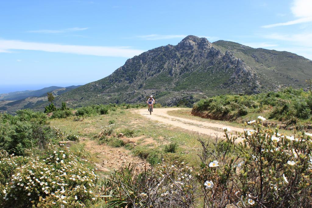 Agriturismo Piperedda Irgoli Εξωτερικό φωτογραφία